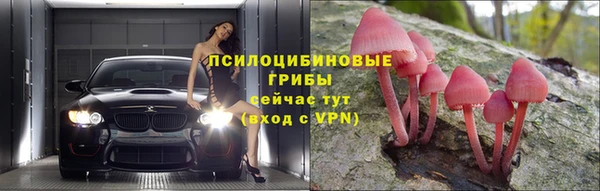 сатива Верхний Тагил
