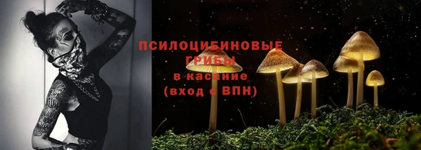 сатива Верхний Тагил