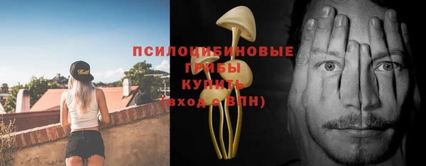 сатива Сатка