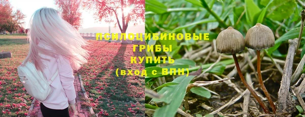 сатива Сатка