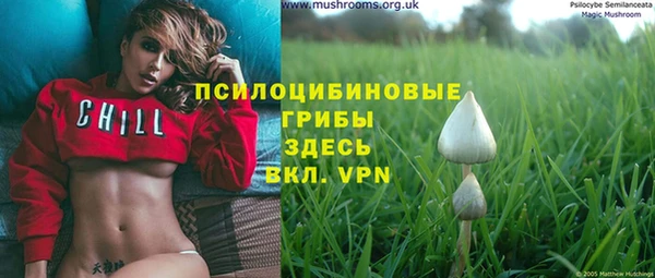 сатива Верхний Тагил