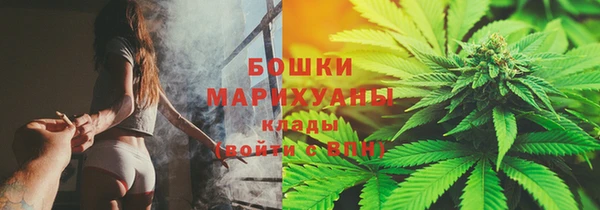 сатива Верхний Тагил