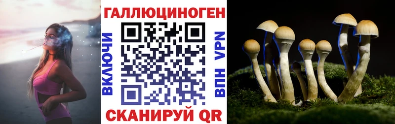 OMG ссылки  Медногорск  Галлюциногенные грибы GOLDEN TEACHER 